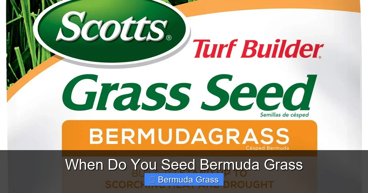 When Do You Seed Bermuda Grass