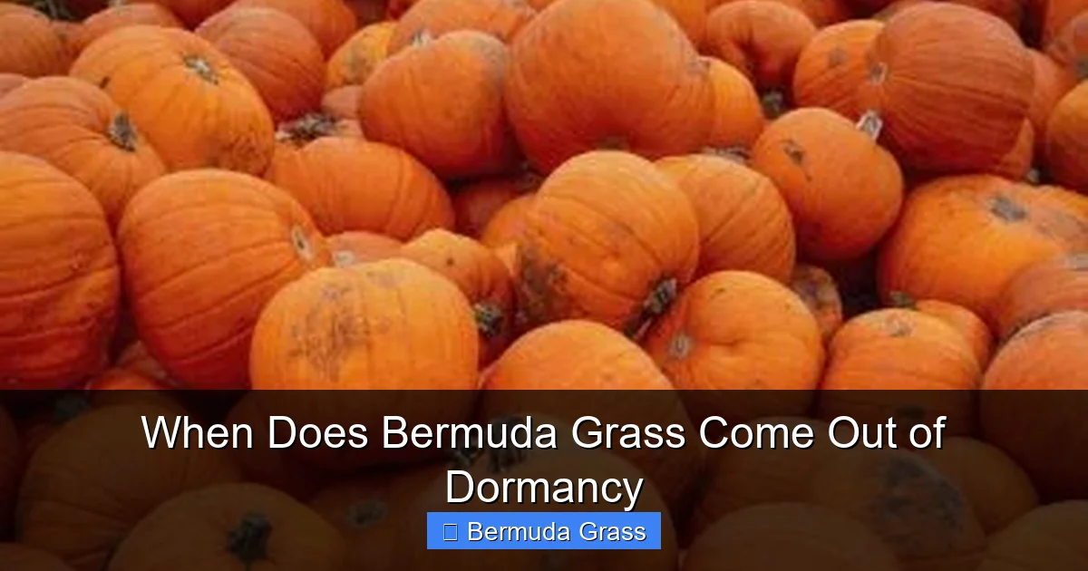 When Does Bermuda Grass Come Out of Dormancy