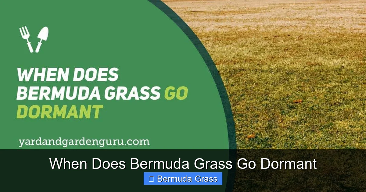When Does Bermuda Grass Go Dormant