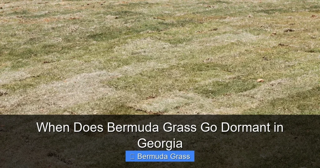 When Does Bermuda Grass Go Dormant in Georgia