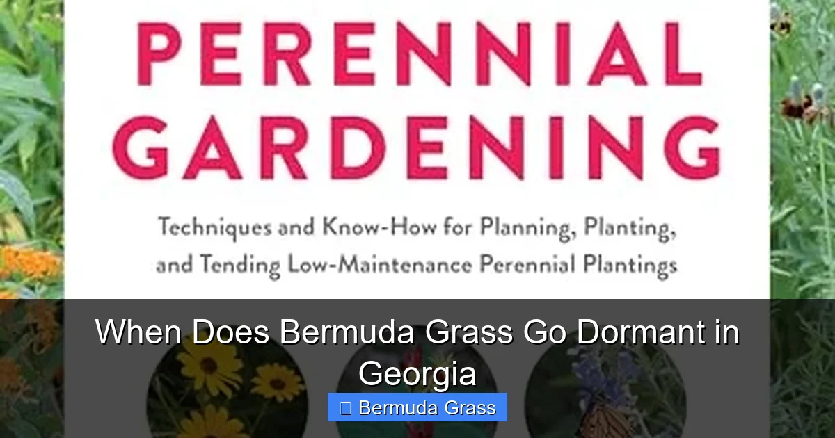 When Does Bermuda Grass Go Dormant in Georgia
