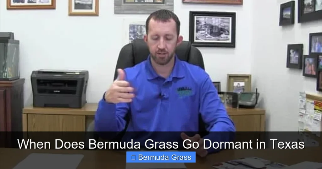 When Does Bermuda Grass Go Dormant in Texas