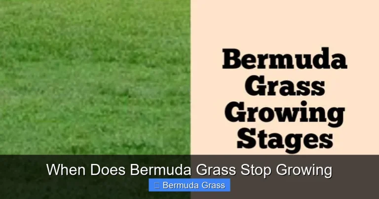 When Does Bermuda Grass Stop Growing
