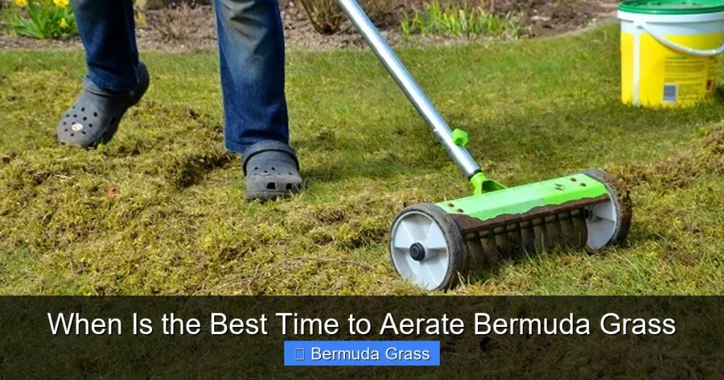 When Is the Best Time to Aerate Bermuda Grass
