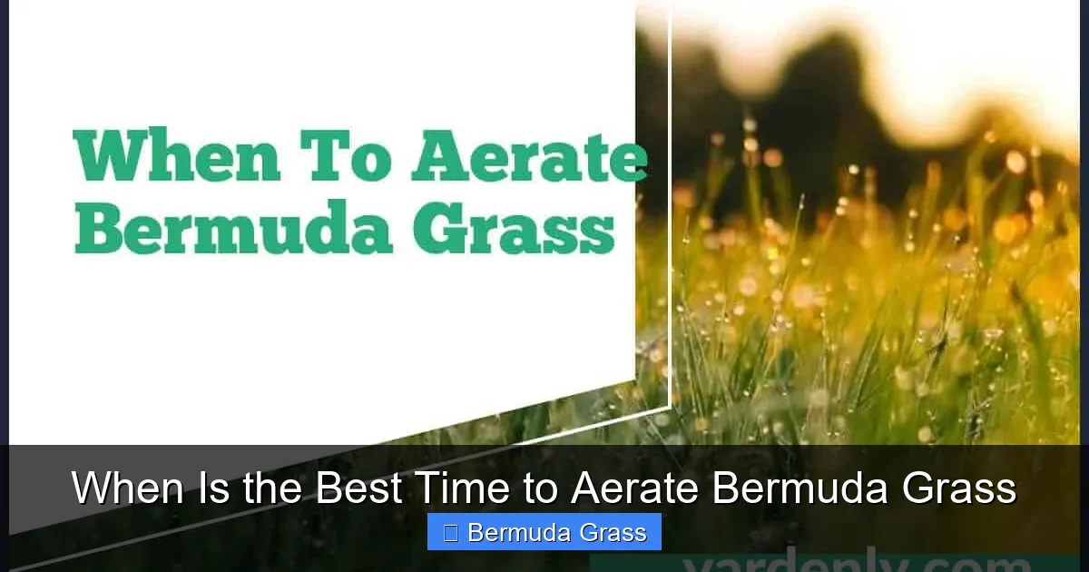 When Is the Best Time to Aerate Bermuda Grass