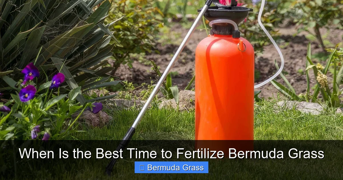 When Is the Best Time to Fertilize Bermuda Grass