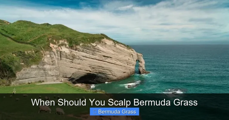 When Should You Scalp Bermuda Grass