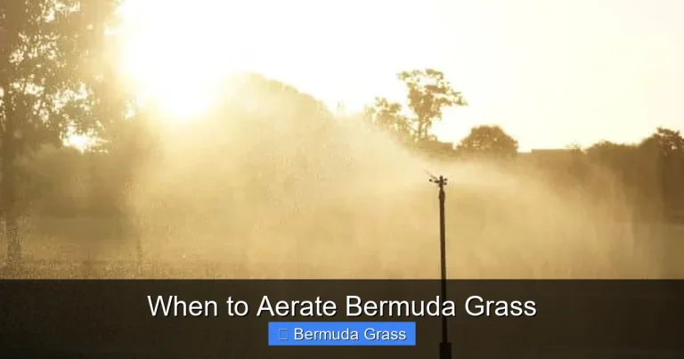 When to Aerate Bermuda Grass