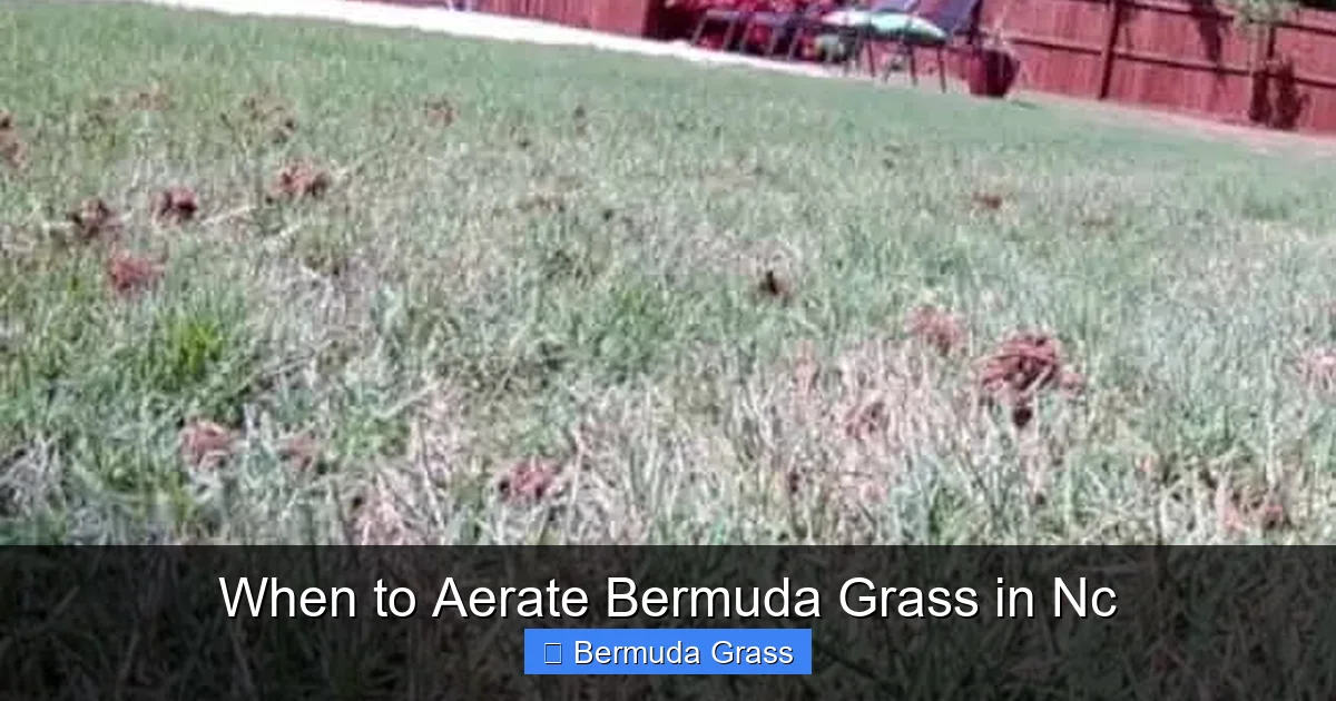When to Aerate Bermuda Grass in Nc