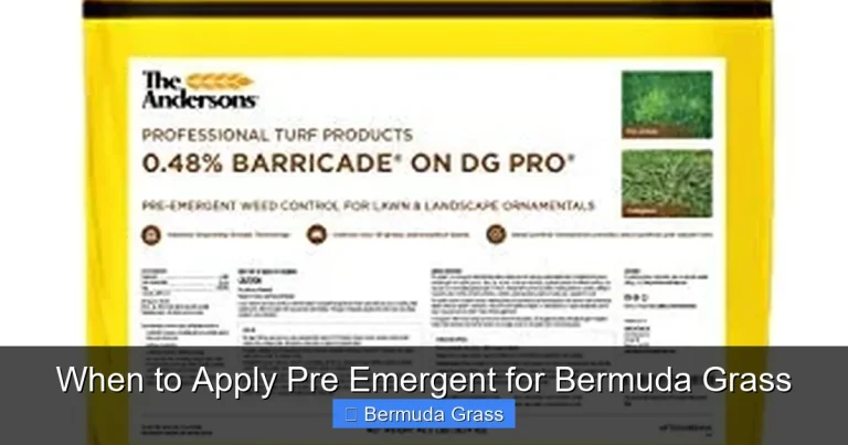 When to Apply Pre Emergent for Bermuda Grass