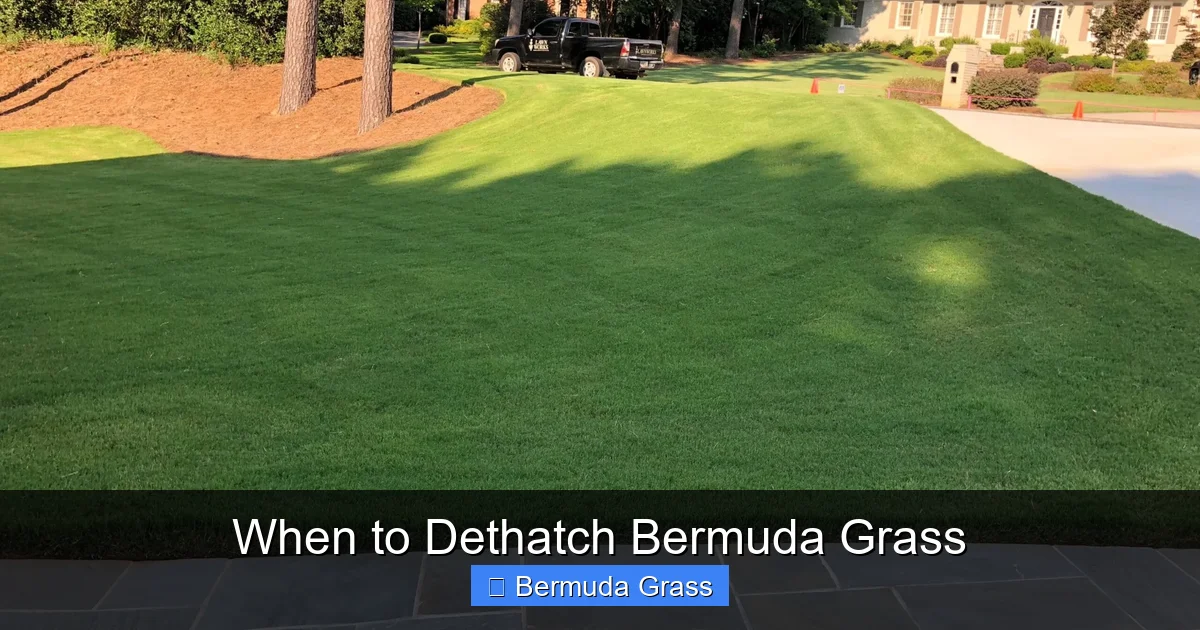 When to Dethatch Bermuda Grass
