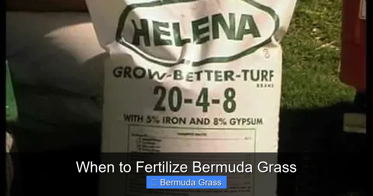 When to Fertilize Bermuda Grass