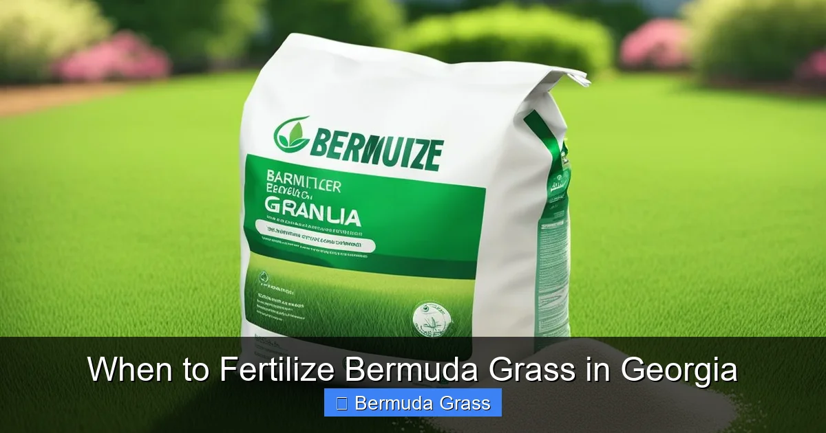 When to Fertilize Bermuda Grass in Georgia