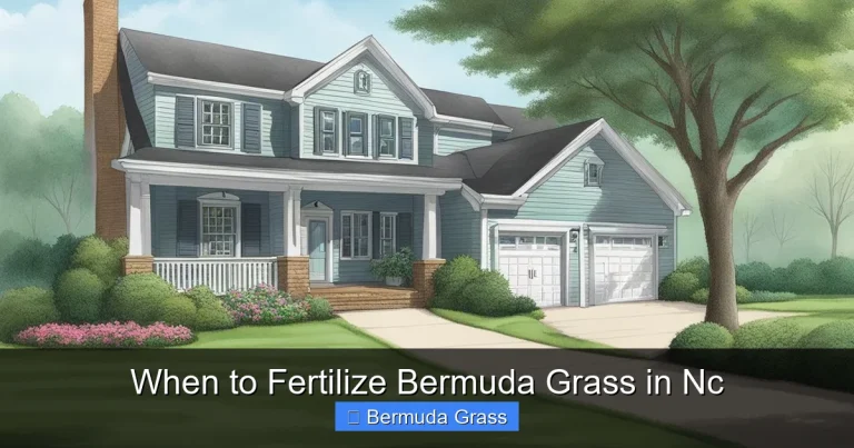 When to Fertilize Bermuda Grass in Nc