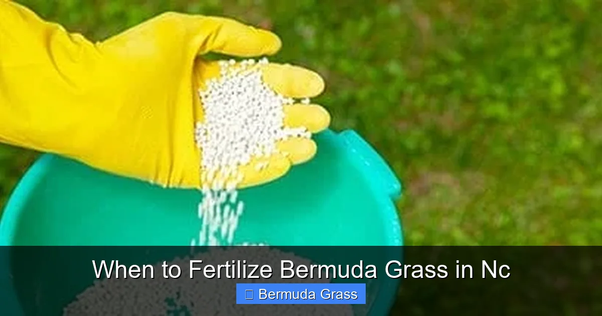 When to Fertilize Bermuda Grass in Nc