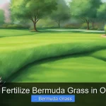 When to Fertilize Bermuda Grass in Oklahoma