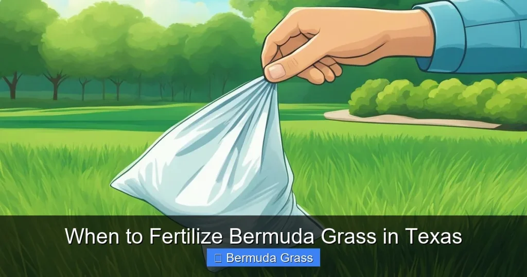 When to Fertilize Bermuda Grass in Texas