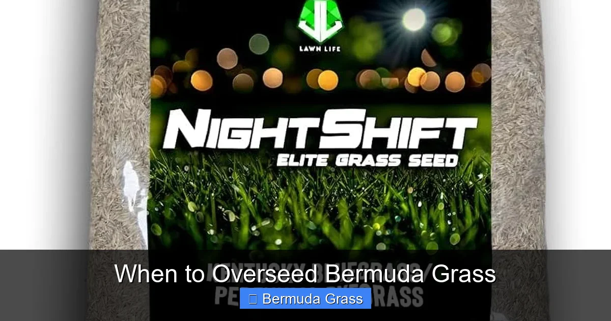 When to Overseed Bermuda Grass