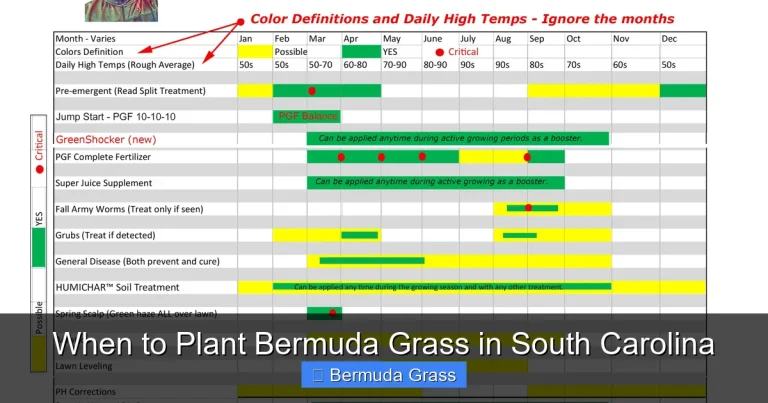 When to Plant Bermuda Grass in South Carolina