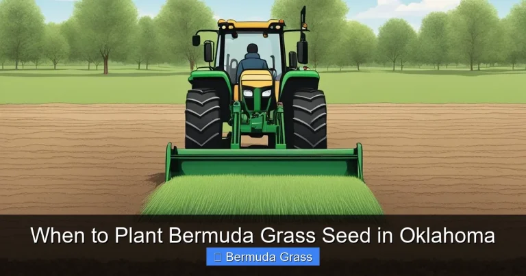 When to Plant Bermuda Grass Seed in Oklahoma