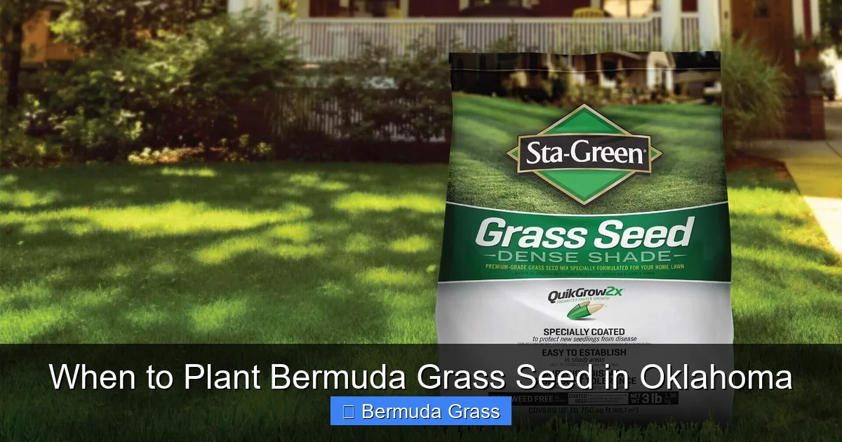 When to Plant Bermuda Grass Seed in Oklahoma