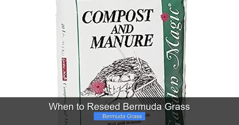 When to Reseed Bermuda Grass