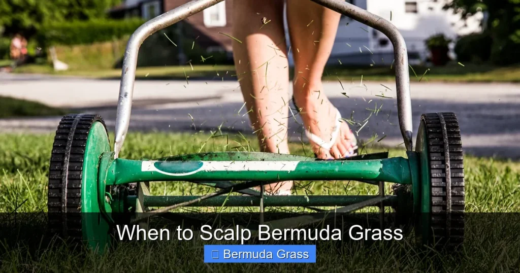 When to Scalp Bermuda Grass