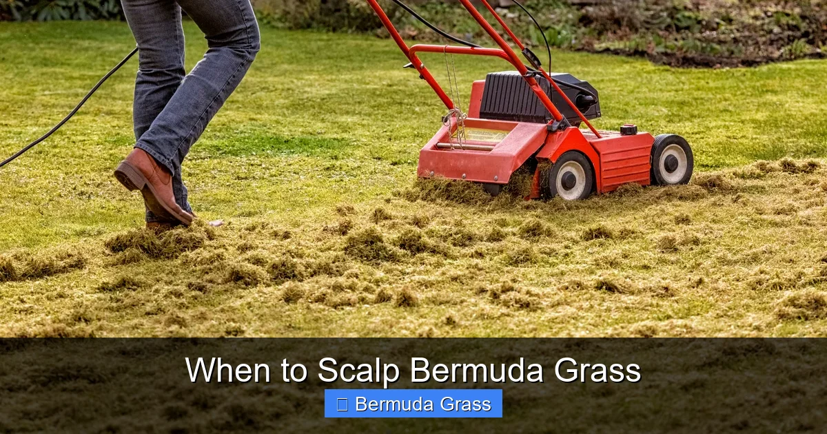 When to Scalp Bermuda Grass