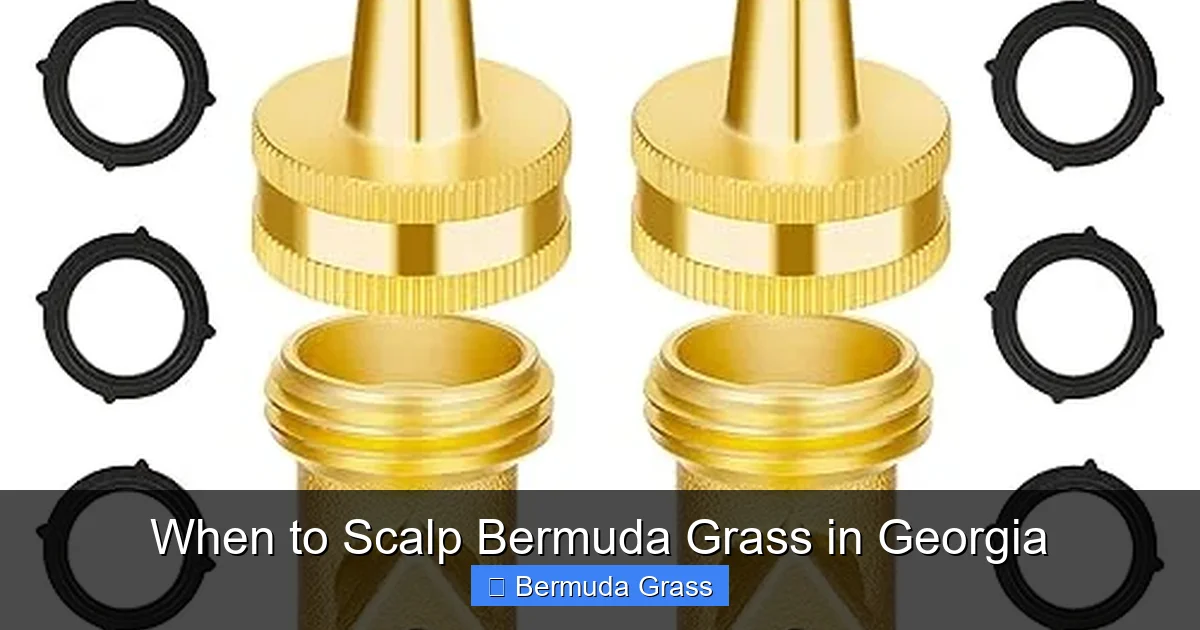 When to Scalp Bermuda Grass in Georgia
