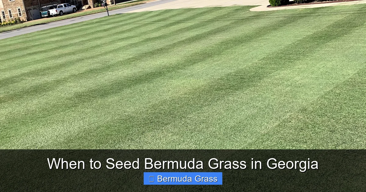 When to Seed Bermuda Grass in Georgia