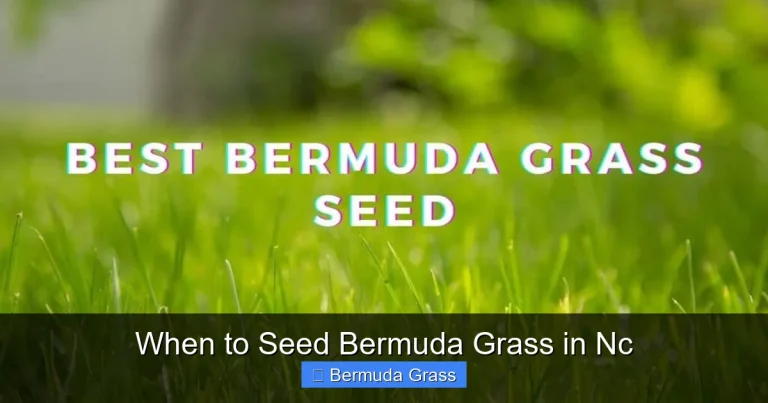 When to Seed Bermuda Grass in Nc