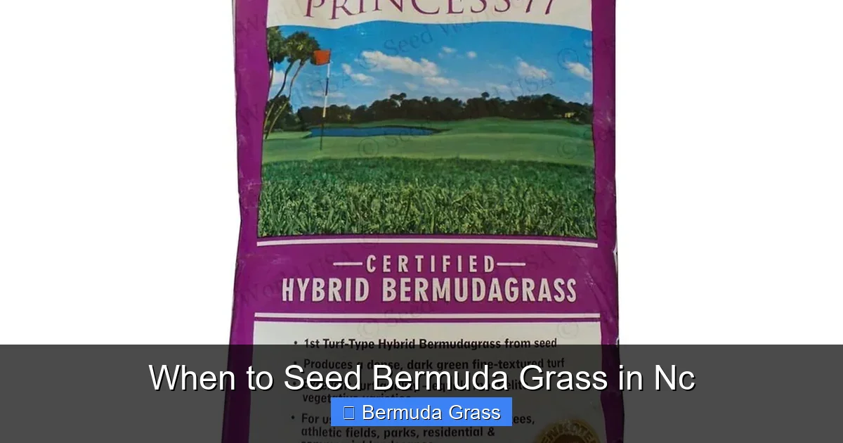 When to Seed Bermuda Grass in Nc