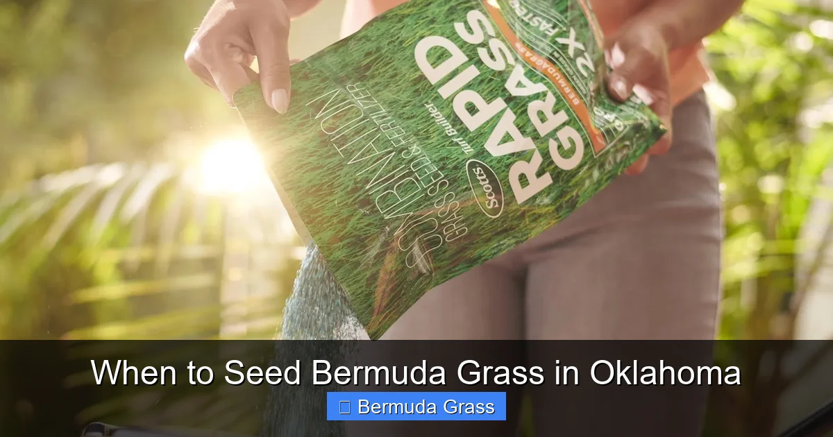 When to Seed Bermuda Grass in Oklahoma
