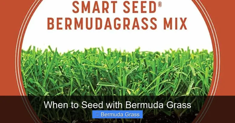 When to Seed with Bermuda Grass