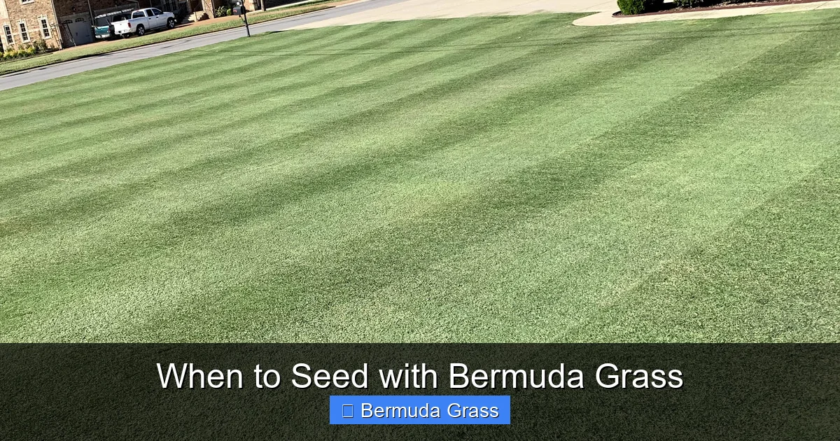 When to Seed with Bermuda Grass
