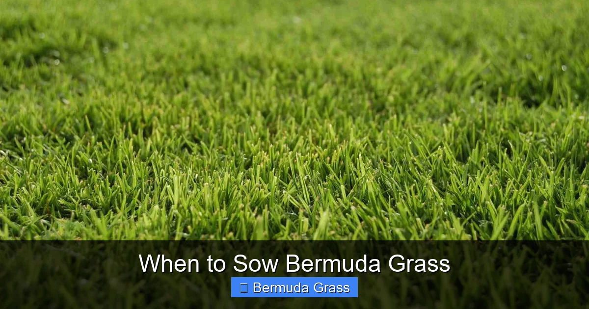 When to Sow Bermuda Grass