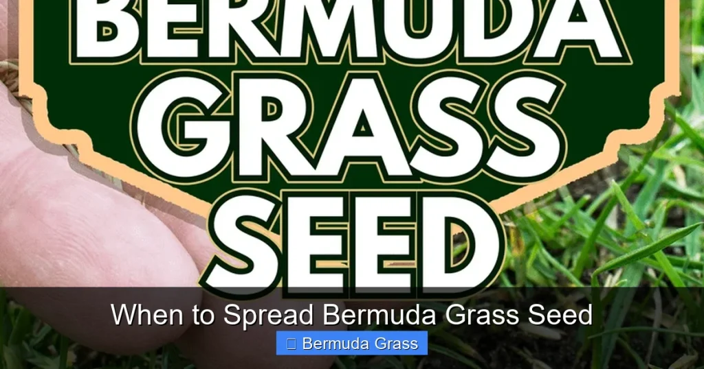 When to Spread Bermuda Grass Seed
