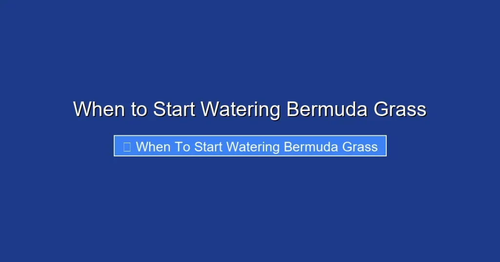 When to Start Watering Bermuda Grass