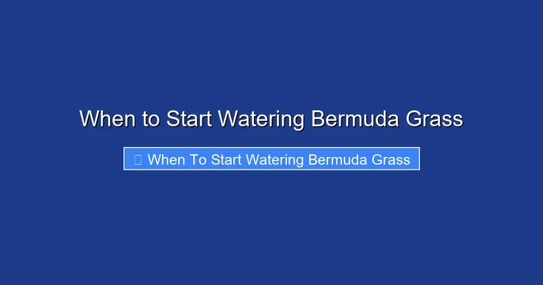 When to Start Watering Bermuda Grass