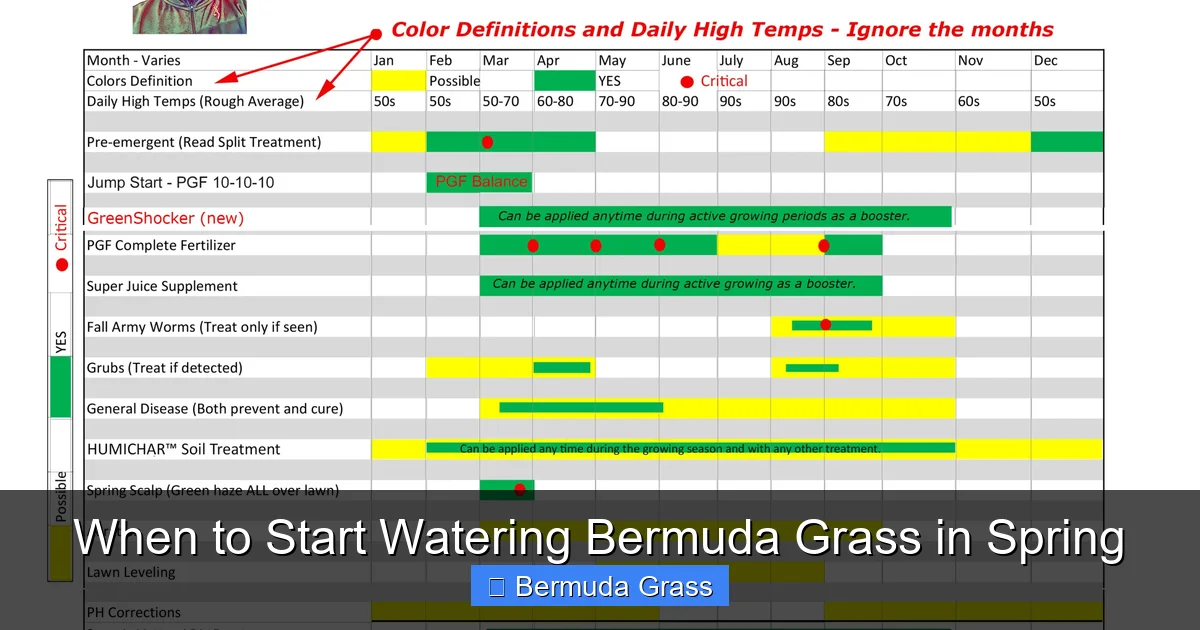 When to Start Watering Bermuda Grass in Spring