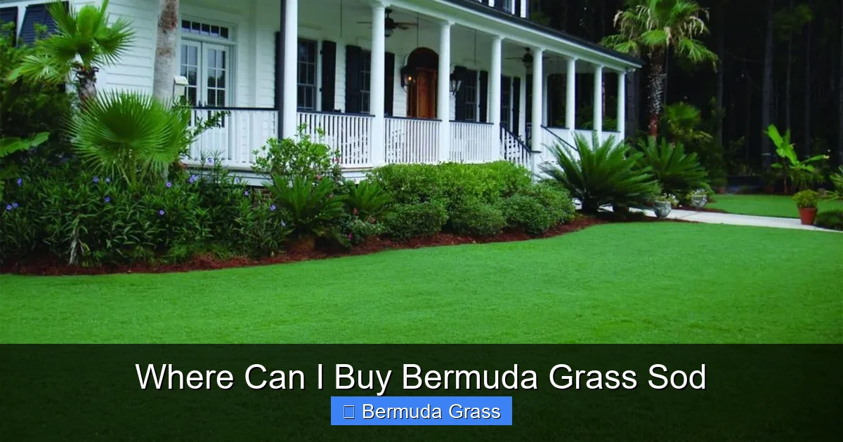 Where Can I Buy Bermuda Grass Sod