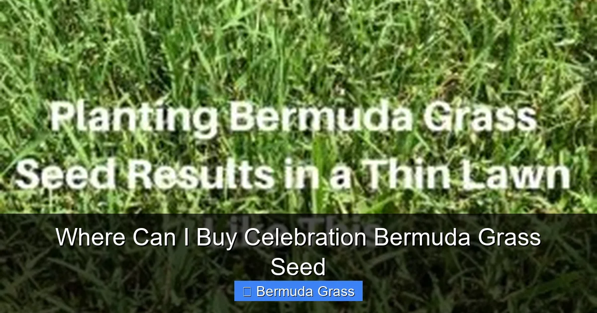 Where Can I Buy Celebration Bermuda Grass Seed