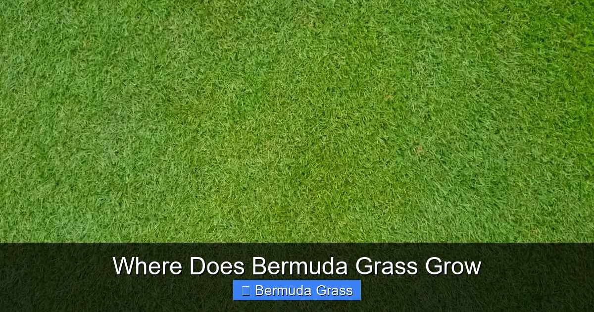 Where Does Bermuda Grass Grow