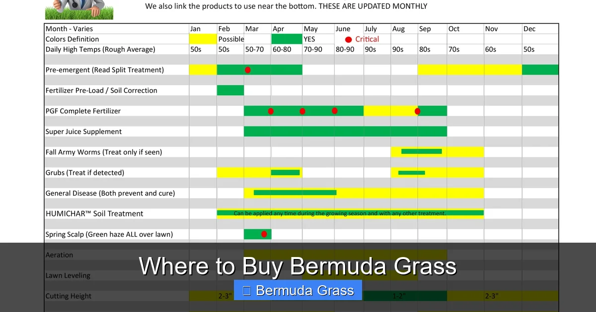 Where to Buy Bermuda Grass