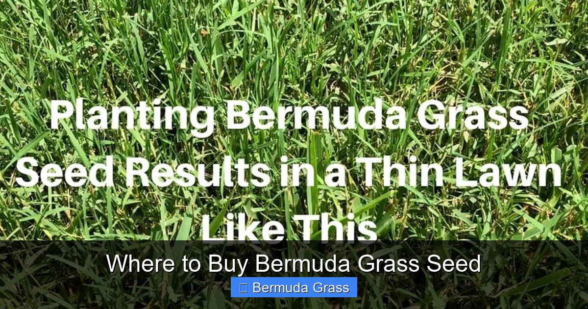 Where to Buy Bermuda Grass Seed