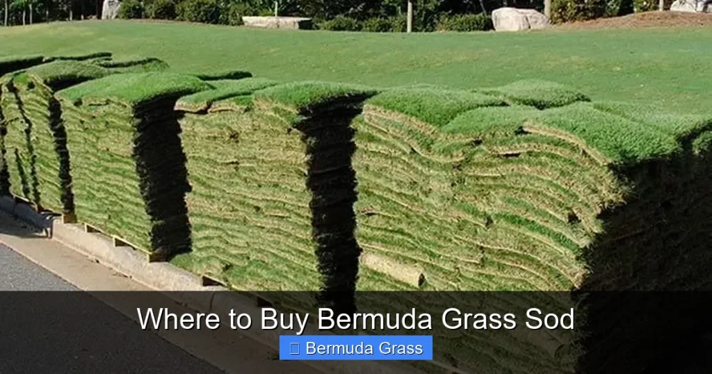 Where to Buy Bermuda Grass Sod