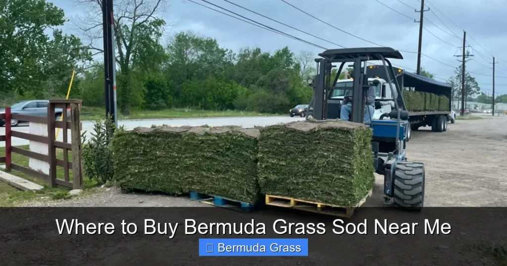 Where to Buy Bermuda Grass Sod Near Me