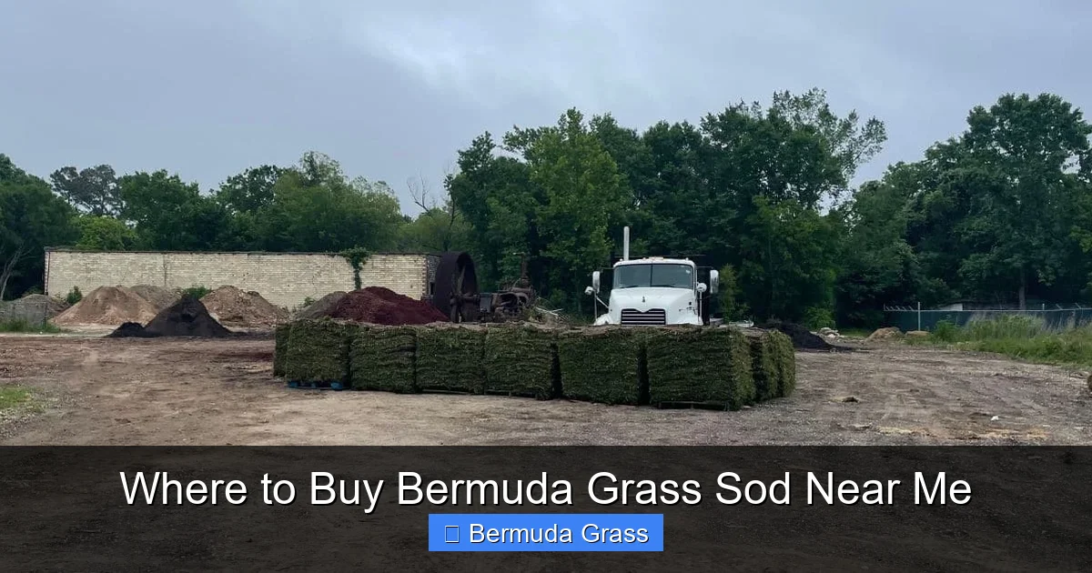 Where to Buy Bermuda Grass Sod Near Me
