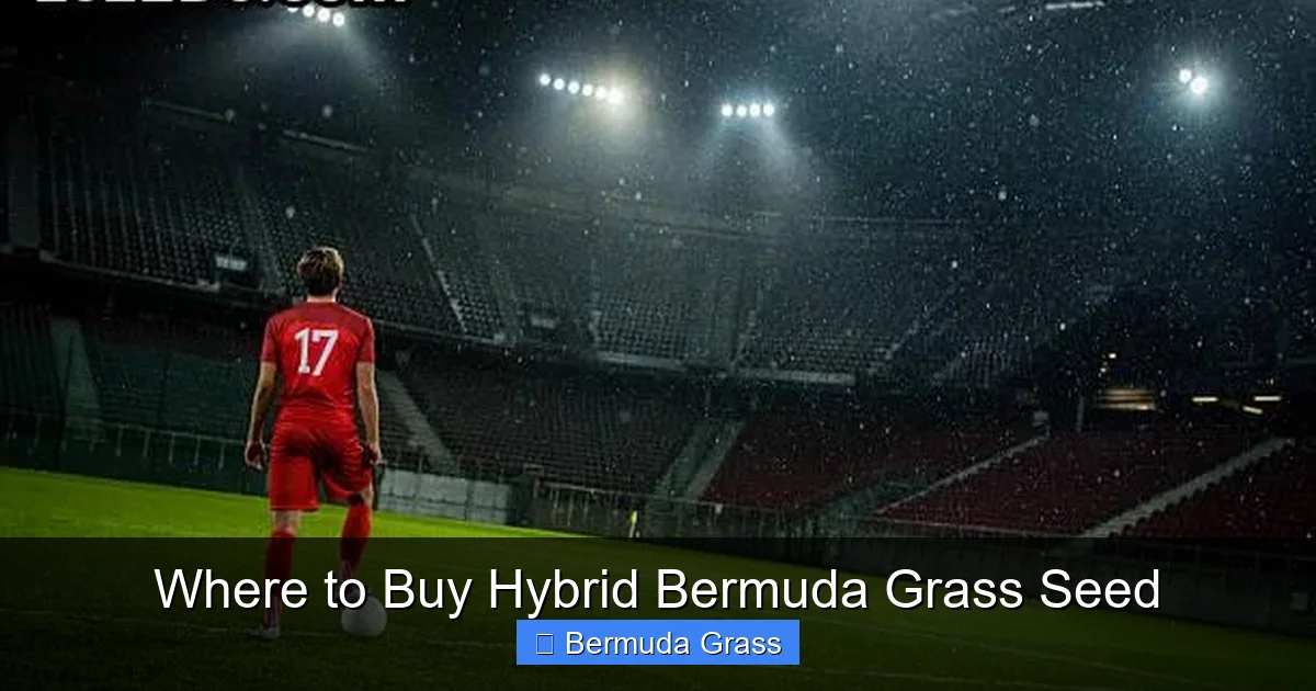 Where to Buy Hybrid Bermuda Grass Seed