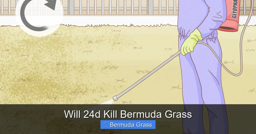 Will 24d Kill Bermuda Grass